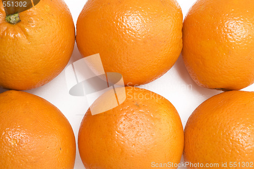 Image of six oranges