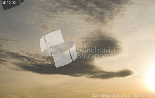 Image of sky bird