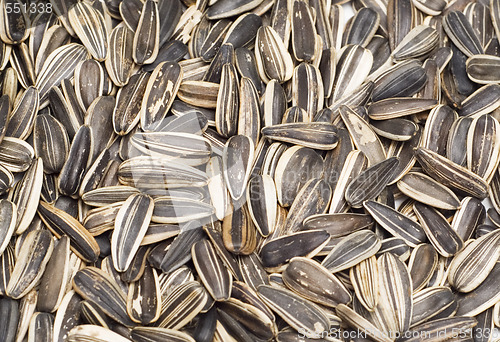 Image of seeds of sunflower