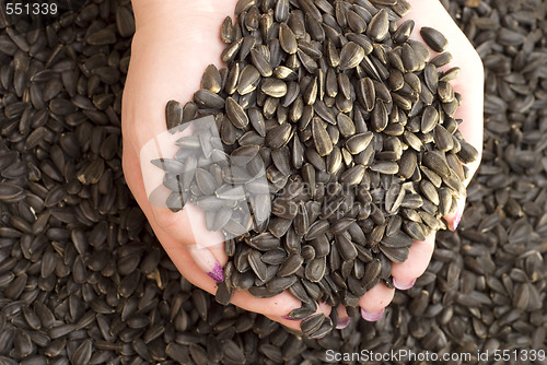 Image of sunflower seeds in hands