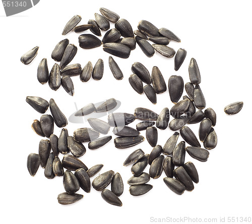 Image of sunflower seeds over white