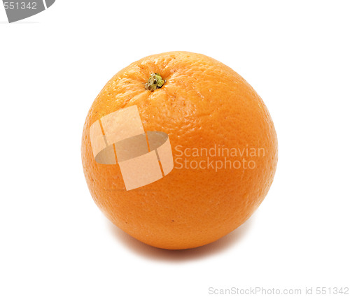 Image of the orange