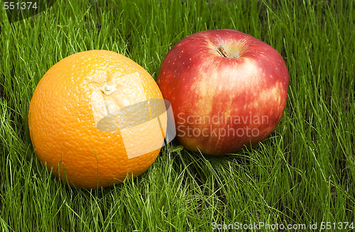 Image of apple and orange on grass