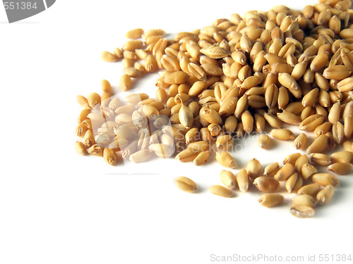 Image of Wheat