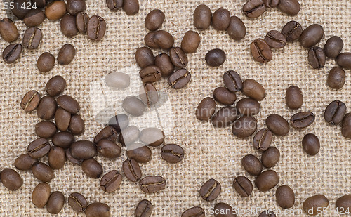 Image of coffee beans