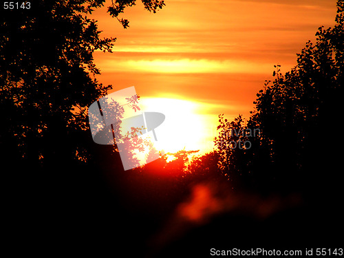 Image of A lovely sunset behind the trees