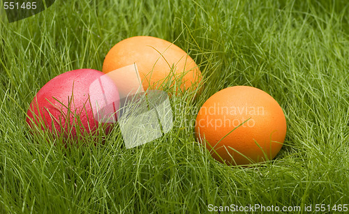 Image of easter colored eggs