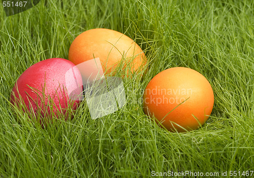 Image of easter eggs in grass