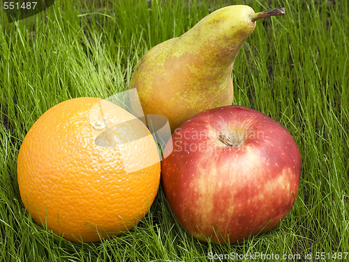 Image of fruits on grass