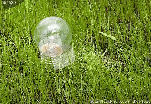 Image of light bulb on grass