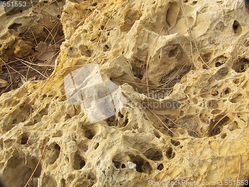 Image of sea rock texture