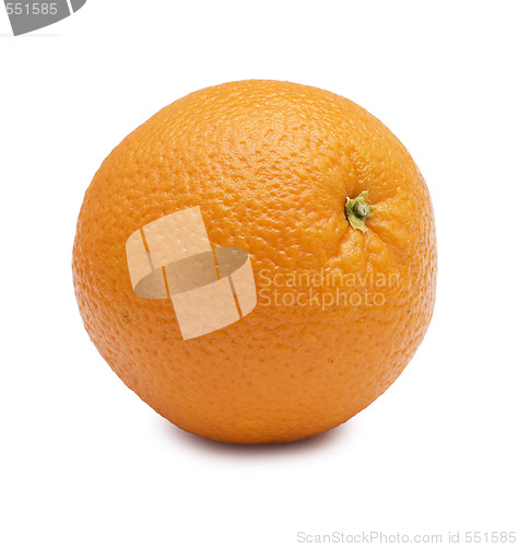 Image of orange