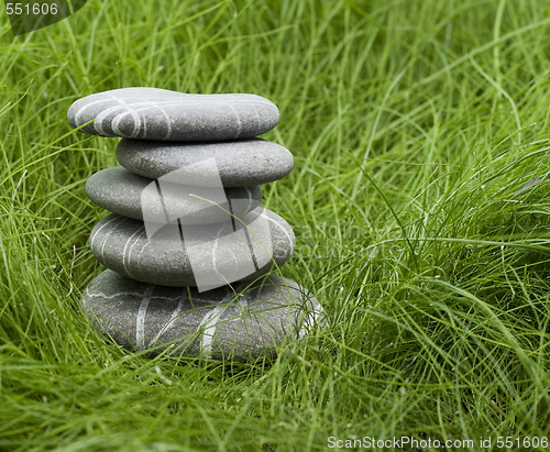 Image of pebbles in grass