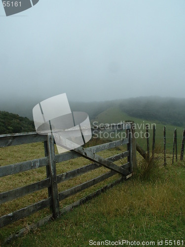 Image of Misty Morning