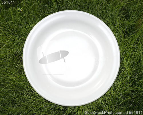 Image of plate on grass