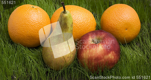 Image of ripe fruits on grass