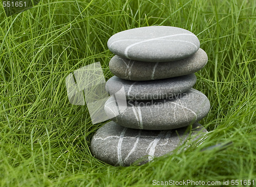 Image of stones in grass