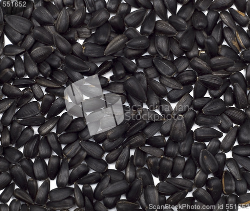 Image of sunflower seeds