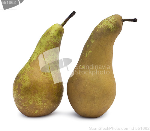 Image of two pears