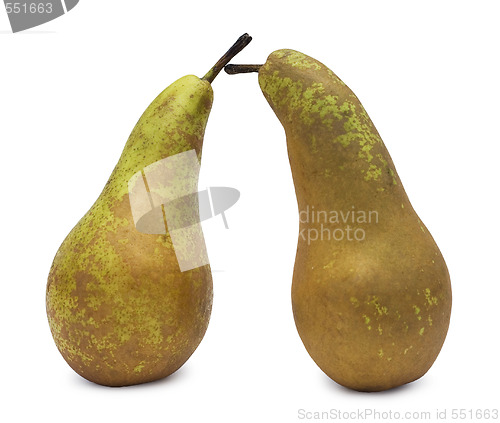 Image of two pears over white