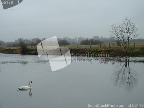 Image of The River