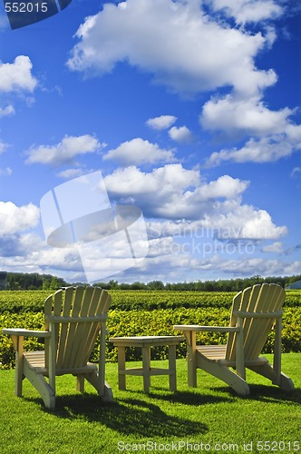 Image of Chairs overlooking vineyard