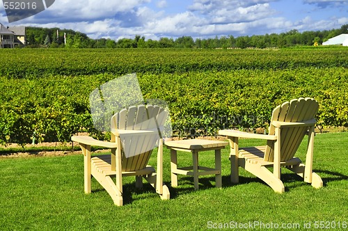 Image of Chairs overlooking vineyard