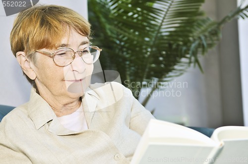 Image of Old woman reading book