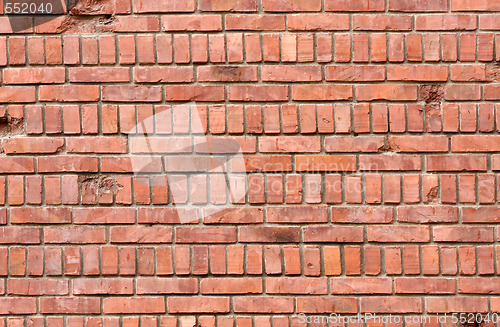 Image of Details stone wall texture