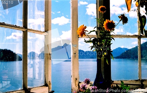 Image of sunny window