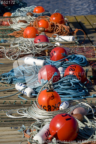 Image of Red and orange floats