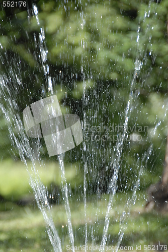 Image of Water