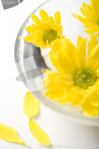 Image of yellow flowers