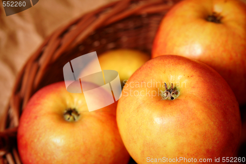 Image of Apples