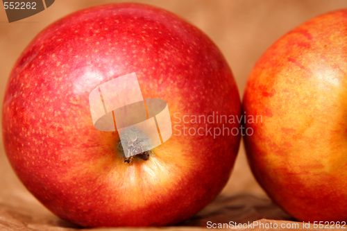 Image of Apples