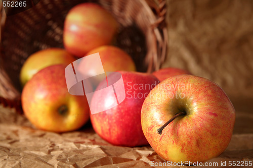 Image of Apples