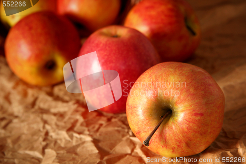 Image of Apples