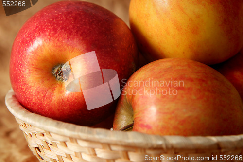 Image of Apples