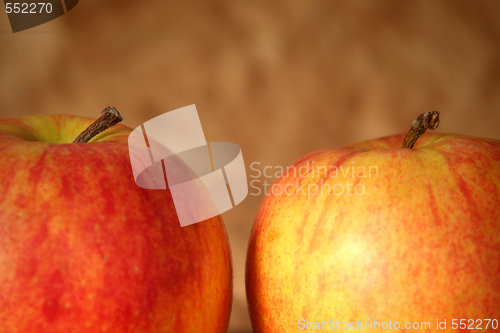 Image of Apples