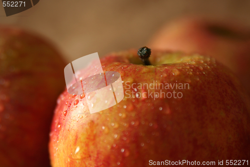 Image of Apples