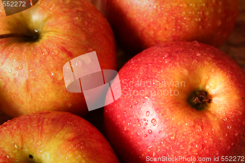 Image of Apples