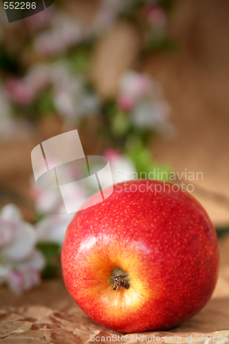 Image of Apples and flowers