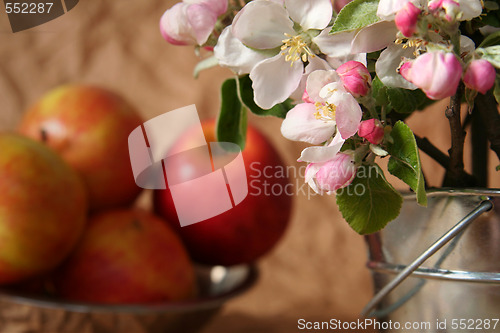 Image of Apples and flowers