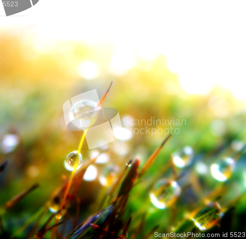 Image of Drop background