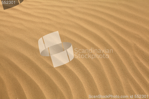 Image of Arabian sand ripples
