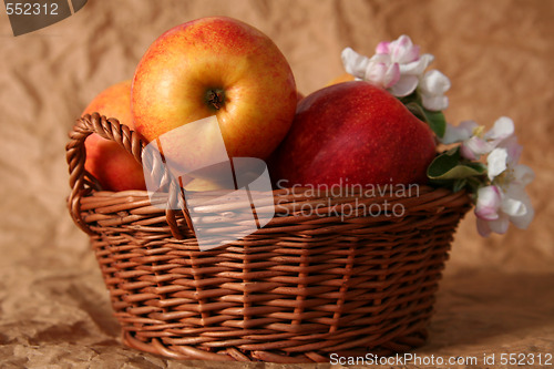 Image of Apples and flowers