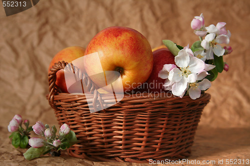 Image of Apples and flowers