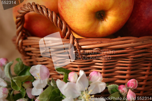 Image of Apples and flowers