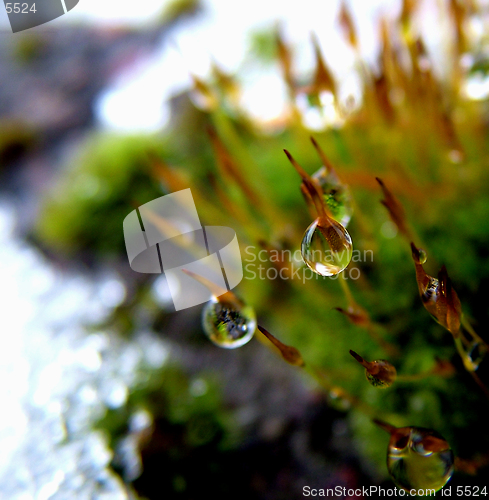 Image of Drop background 1