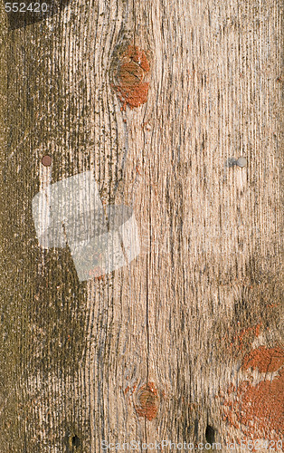 Image of old wood